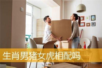 属相男猪女虎相配吗 配对的结果怎么样