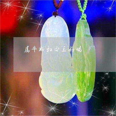 属牛适合戴什么饰品 这个饰品对属牛人来说特别好