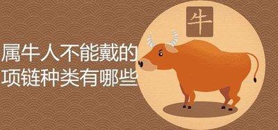 属牛适合戴什么饰品 这个饰品对属牛人来说特别好