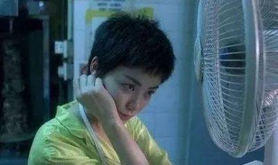 属狗人1994年出生命运原来是这样