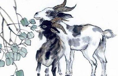 属羊2025年7月份运势详解 哪个方面运势最好