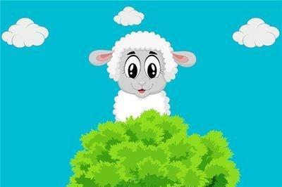 属羊2025年下半年运势怎么样  感情能稳定吗