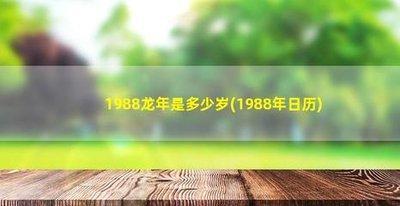 属羊2025年的岁数 属羊的2025年多大