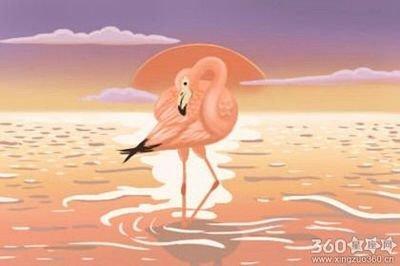 小孟老师2025年6月金牛座运势