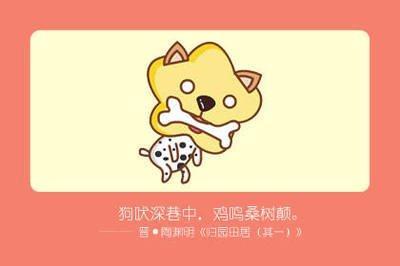 属狗人在哪些年份运势最好 这几年里可以放心发展