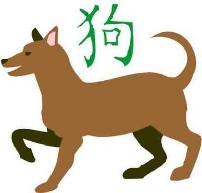属狗人在哪些年份运势最好 这几年里可以放心发展