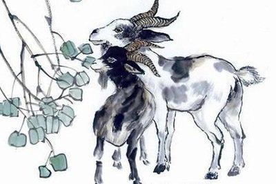 属羊人2025年运气如何  生肖羊什么运最好