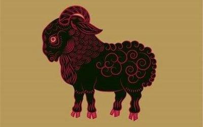 属羊人今年多大2025年 2025年属羊人多少岁