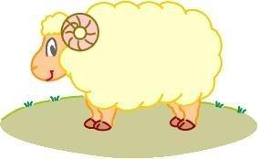 属羊人出生年命运不佳 在明年运势会更糟！