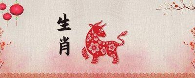 属羊人应该如何避免在爱情里迷失自己