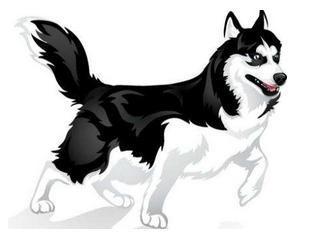 属狗农历五月出生的人 五月比其他月份出生好吗 属狗农历五月出生的人 五月比其他月份出生好吗