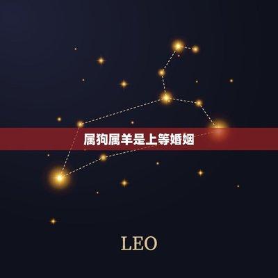 属狗和羊的婚姻如何 属狗人与属羊人结婚好吗