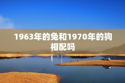属狗和龙相配吗 婚姻能不能白头偕老