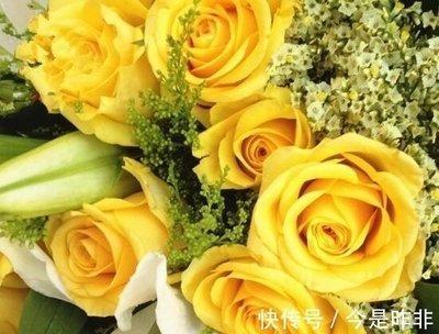 属羊和什么属相最合财 2025年属羊人财运如何
