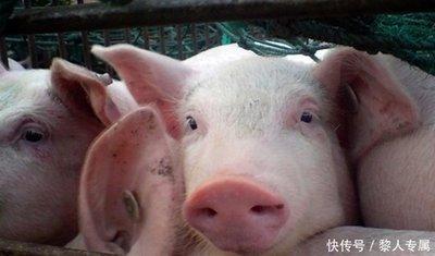 属羊和属什么合作最好 对你财运有帮助的合作伙伴