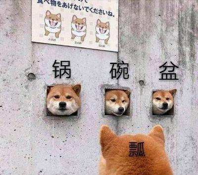 属狗容易一见钟情吗 属狗相信一见钟情吗
