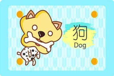 属狗怎么那么讨厌 为什么都不喜欢属狗的