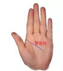 小拇指短代表着什么 手相小拇指短好不好
