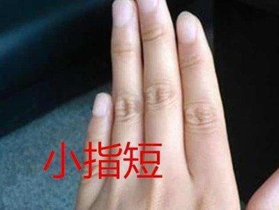 小拇指短的女人好吗 女人小拇指短意味着什么