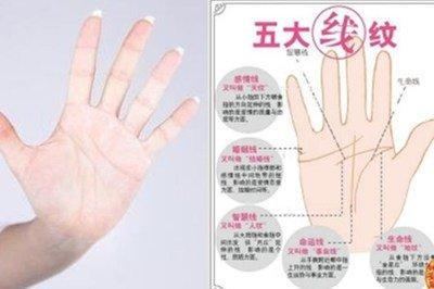 小拇指短的男人代表什么 男人小拇指短的命运怎样