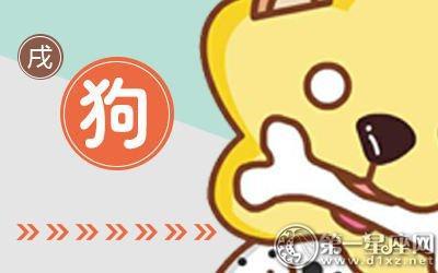属狗男对生活规划 对未来有什么期待