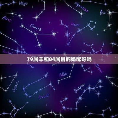 属羊男对生活规划 对未来有什么期待