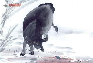 属狗的人几月出生命好 一生都能好好享受