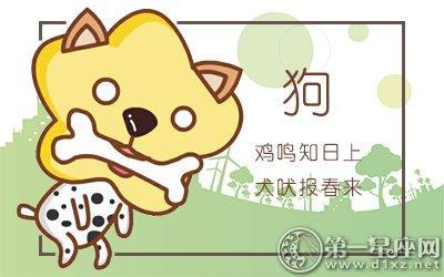 属狗的人在2025年工作中应该和哪些同事交往