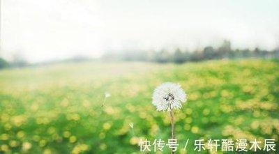 属狗的人在2025年工作中应该和哪些同事交往