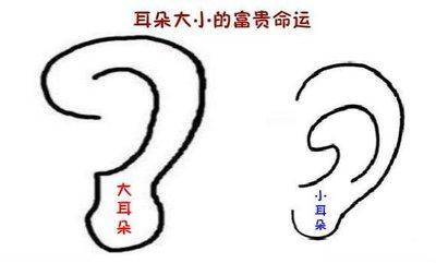 小耳朵男人命运吉凶 男人耳朵小好不好