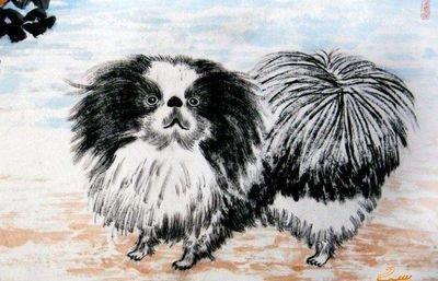 属狗的人在本命年中哪些月份运势最佳 属狗的人在本命年中哪些月份运势最佳