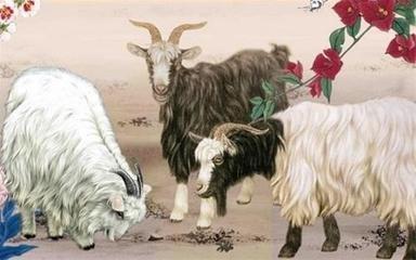 属羊的人几月份出生最好 什么月份生的属羊人命好