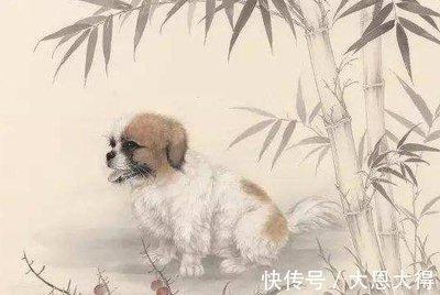 属狗的人跟什么属相不和 属狗的人不能和什么属相一起
