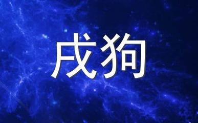 属狗的人进入2025年农历2月之后需要注意什么