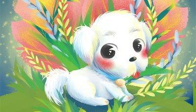 属狗的什么时候发财 什么时候创业最好