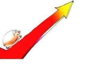 属狗的今年多大2025年 蛇年属狗人运势如何