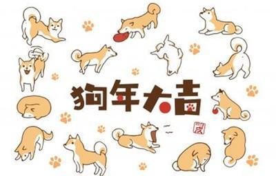 属狗的今年多大了2025 2025年生肖狗多少岁