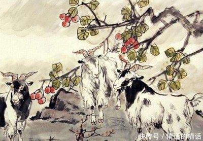 属羊的人如何提升自己在2025年中的贵人运
