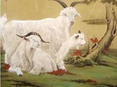 属羊的人怎么样 属羊人身上最大的优点