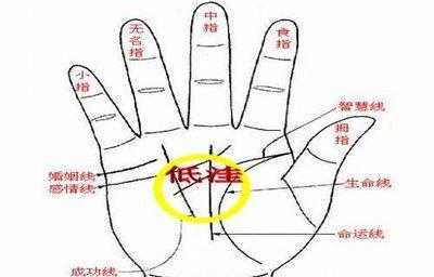 少见的富贵女人手相 女人富贵命手相有什么特征