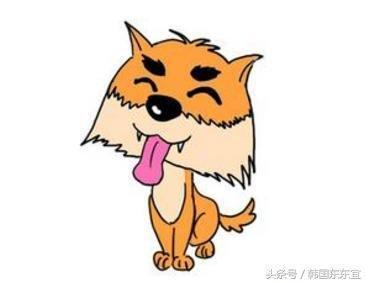 属狗的哪天出生最好命 这些天出生的属狗人命不错