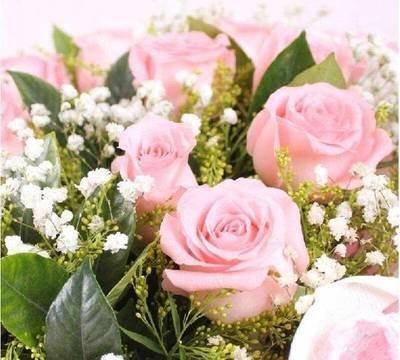 属狗的四大桃花年(属羊的四大桃花年2025)