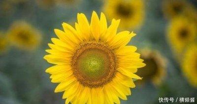 尖酸刻薄的女人生肖 哪些生肖女最刻薄