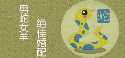 属羊的女人性格  生肖属羊的人2025年运程