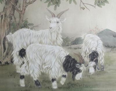 属羊的是哪年出生 属羊人的命运好吗