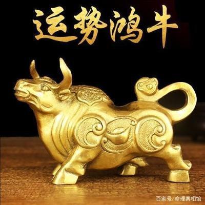 属猪2025年运势运程 2025年属猪的全年运势