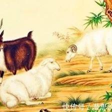 属羊结婚后会怎么样 属羊婚后生活状态