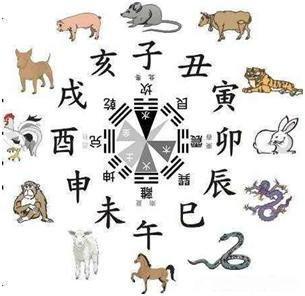 属猪与什么相冲，属猪和什么属相相冲