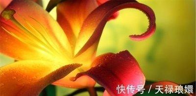 属老鼠的贵人生肖 2025年谁是属鼠人的贵人