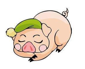属猪二月生的人命运怎么样 哪些月份出生的属猪人命好
